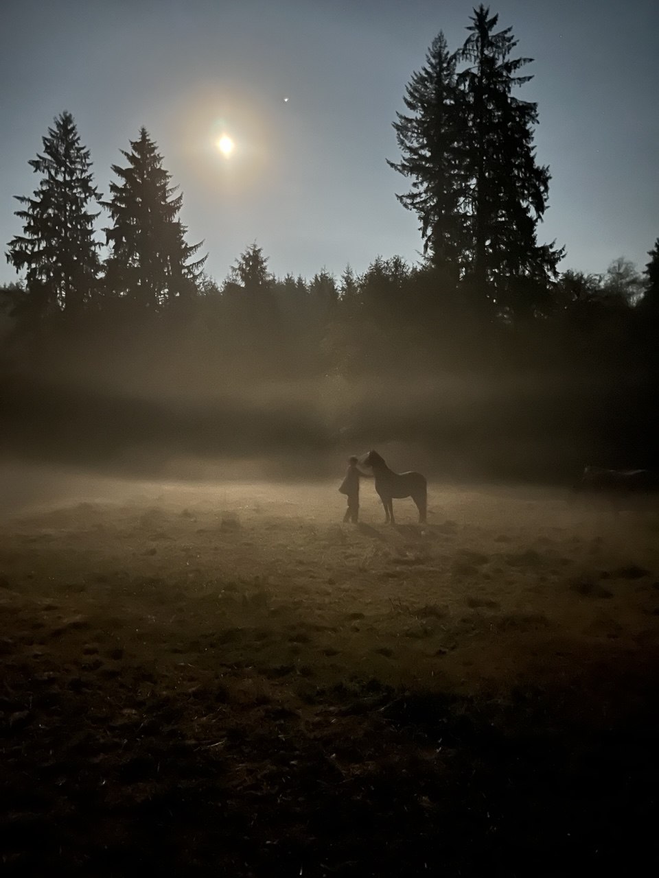 Pacific Northwest farm